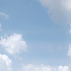 Meet your Posher, Taline